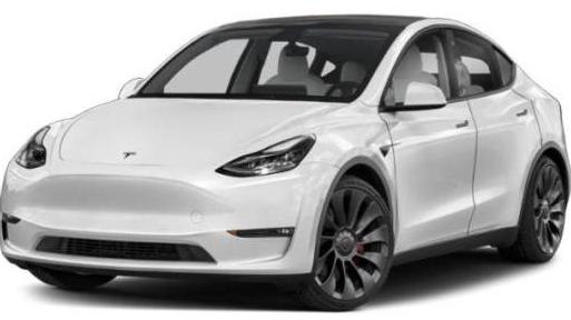 TESLA MODEL Y 2021 5YJYGDEE1MF080815 image